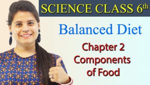 Balanced Diet – Chapter 2 – Components of Food – Science Class 6