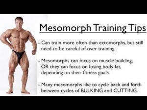 Ectomorph, Endomorph or Mesomorph – Training for YOUR Body Type