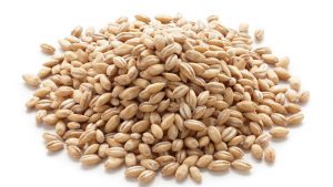 Health Benefits of Barley – Nutritional Information