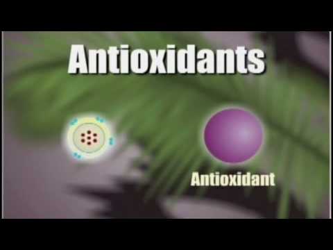 How Antioxidants Work