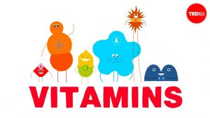 How do vitamins work? – Ginnie Trinh Nguyen