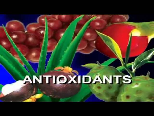 Importance of Antioxidants – Hindi