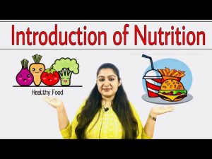 Introduction to Nutrition – General Science – GK and GS – Protein , Carbohydrate, Fats , Vitamins