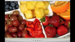 Nutrient Basics