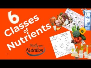 Nutrients: What are the 6 classes?