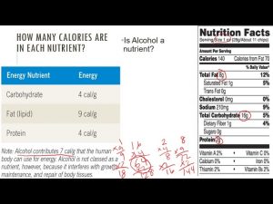 Nutrition   Chap 01d   Six Classes of Nutrients Part1 20200824