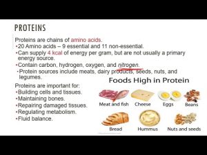 Nutrition Chap 01e Six Classes of Nutrients Part2 20200824