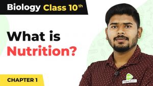 Nutrition – Life Process | Class 10 Biology
