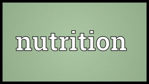Nutrition Meaning