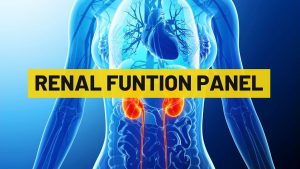 Renal Function Panel | My Lab Solution