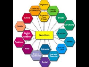 The Six Basic Nutrients – Health/Nutrition