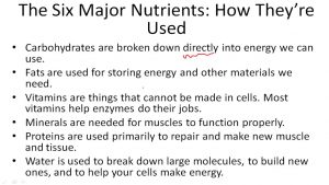 The Six Major Nutrients