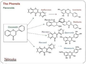 University of Nebraska, Part 4: Phenolic Based Antioxidants