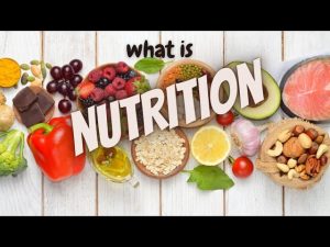 What is Nutrition | What are nutrients | Definition of Nutrition