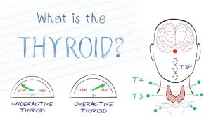 What is Thyroid Disease? (HealthSketch)