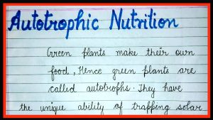 What is autotrophic nutrition ? Define nutrition ||